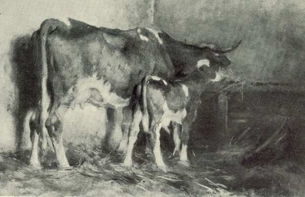 Művészet, 1912, Képek lajstroma