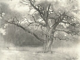 TANULM�NY NOV�K S�NDOR RAJZA