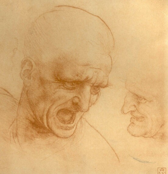 TANULMÁNY LIONARDO DA VINCI RAJZA
