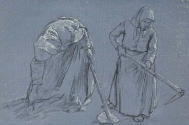 TANULM�NY POLL HUG� RAJZA