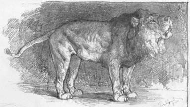 L�SCHINGER HUG� V�ZLATK�NYV�B�L