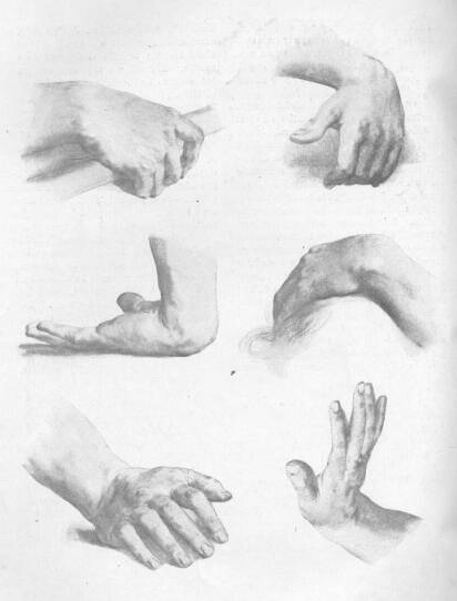 K�Z-TANULM�NYOK BROCKY K�ROLY RAJZA DR. NY�RI S�NDOR TULAJDONA