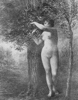 �VA FANTIN-LATOUR RAJZA