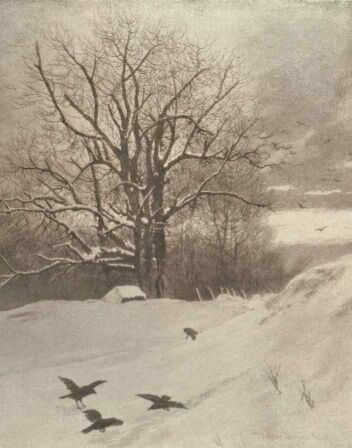 A H�RSFA OLGYAI VIKTOR R�ZKARCA