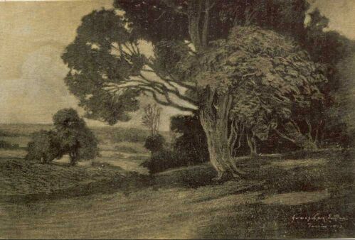 TUNISZI T�J FRECSKAY ENDRE RAJZA