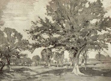 ERD�SZ�LE P�RGE GERGELY RAJZA