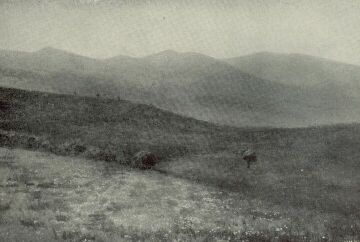 A PORTA ORIENTALIS VID�KE T�LGYESSY ART�R FESTM�NYE