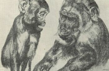 AZ �SSZEF�RHETETLENEK SIMAY IMRE RAJZA