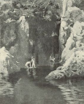 REG�NYES F�RD�HELY, DRAGA N�DLER R�BERT FESTM�NYE