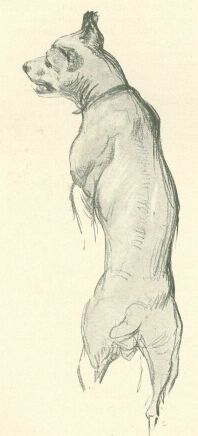 B�TTNER HEL�N V�ZLATK�NYV�B�L