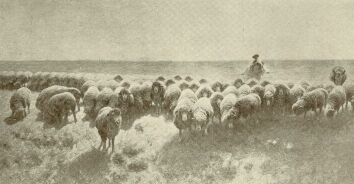 REGGEL V�G� P�L FESTM�NYE