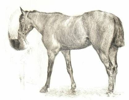 GLATZ OSZK�R V�ZLATK�NYV�B�L 