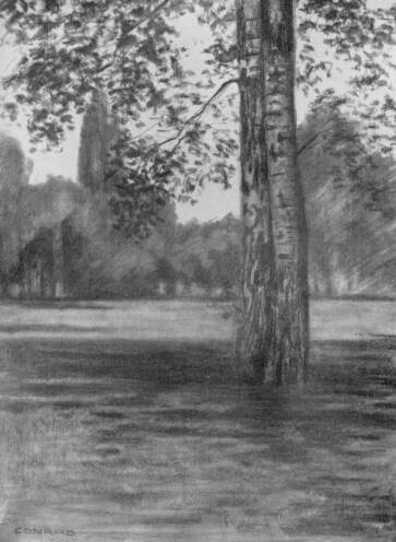 MAG�NOS FA CONRAD GYULA RAJZA