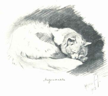 ANGORAMACSKA HEYER ART�R RAJZA