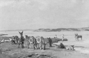 SZAMARAK A LEGEL�N L�SCHINGER HUG� FESTM�NYE