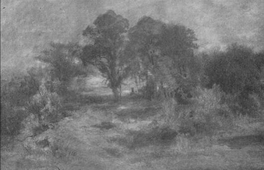 TANULM�NY KELETY GUSZT�V RAJZA