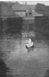 A MALOMT� K�ROLYI LAJOS RAJZA