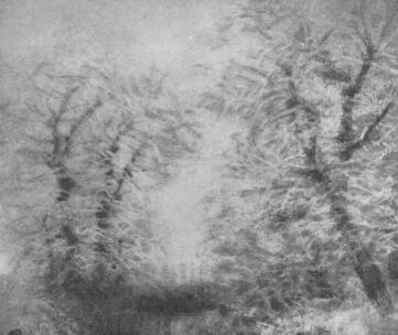 A K�PZ�M�V�SZEK SEGIT�BIZOTTS�G�NAK M�V�SZETI KI�LL�T�S�B�L T�L MEDNY�NSZKY L�SZL� BR. FESTM�NYE