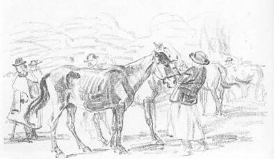 L�V�S�R P�LLYA CELESZTIN RAJZA