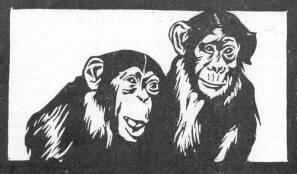 MAJMOK J�ZSA K�ROLY FAMETSZETE