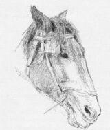 GLATZ OSZK�R V�ZLATK�NYV�B�L