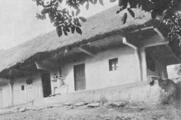 V�R�S PETI H�ZA  MILEJEGYH�ZA (G�CSEJ)