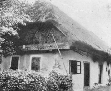 PARASZTH�Z BARAB�SSSZEG (G�CSEJ)