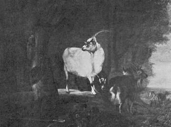 KECSKE R. MELCHIOR FESTM�NYE DR. BISCHITZ GYULA GY�JTEM�NY�B�L