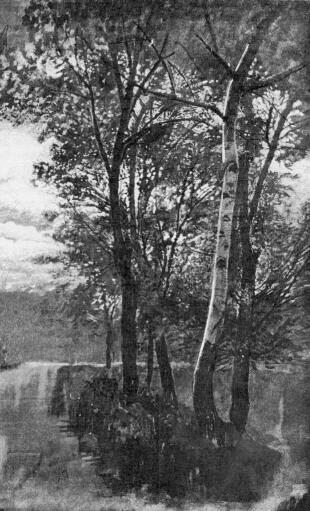 B�R� MEDNY�NSZKY L�SZL� V�ZLATK�NYV�B�L