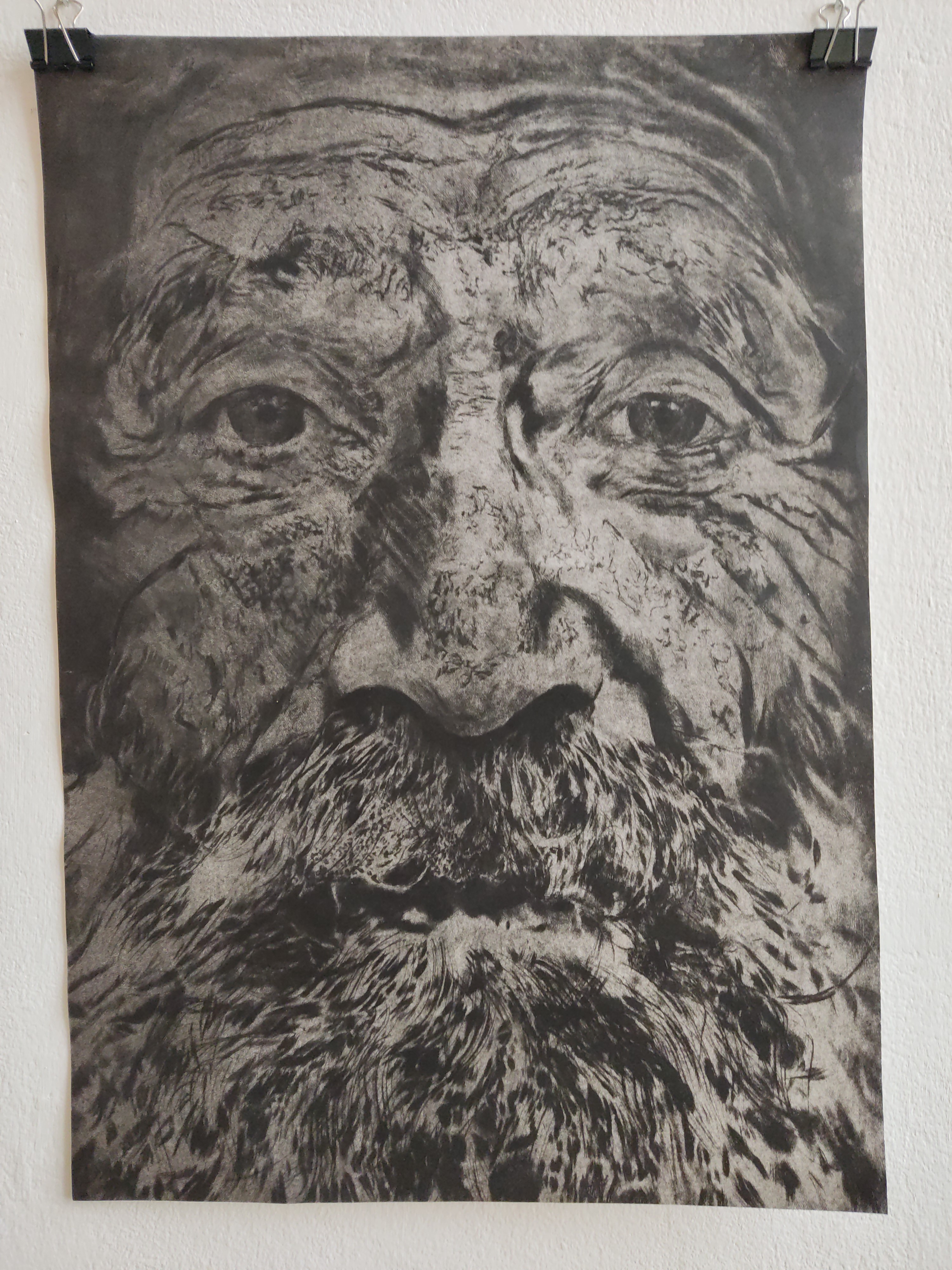 GRAFIKAI FORDULÓ VIII. Veres Nóra