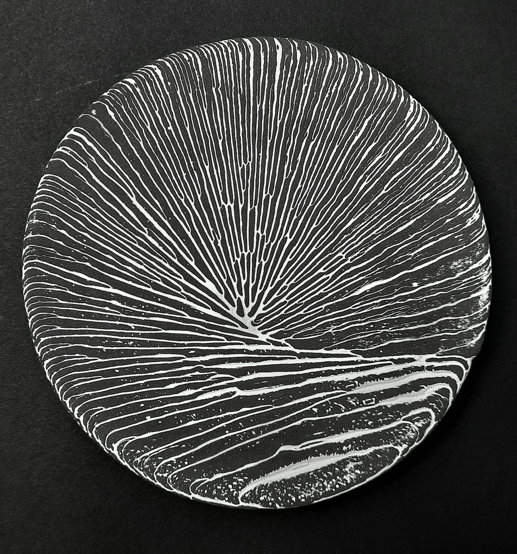 Ars naturae No. 13.