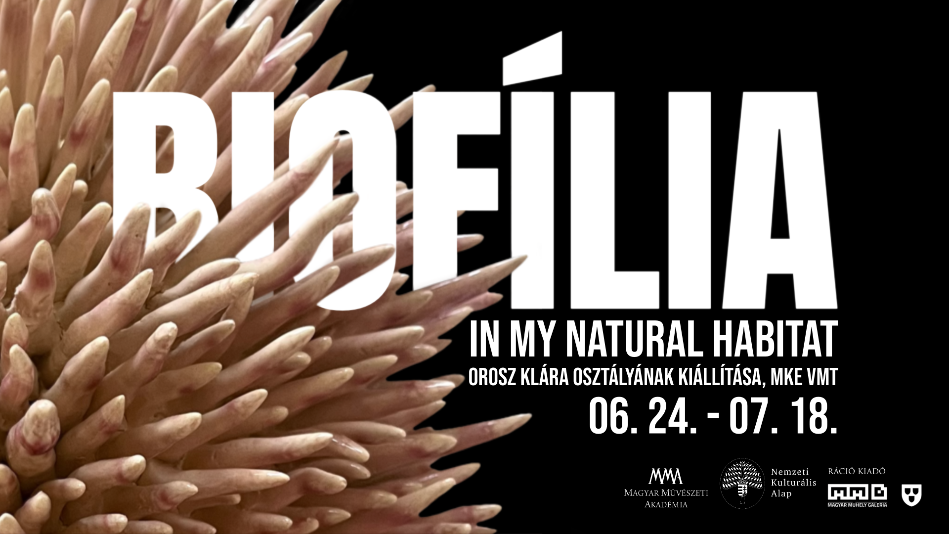 Biofília – In my natural habitat címmel nyílik Orosz Klára osztályának kiállítása