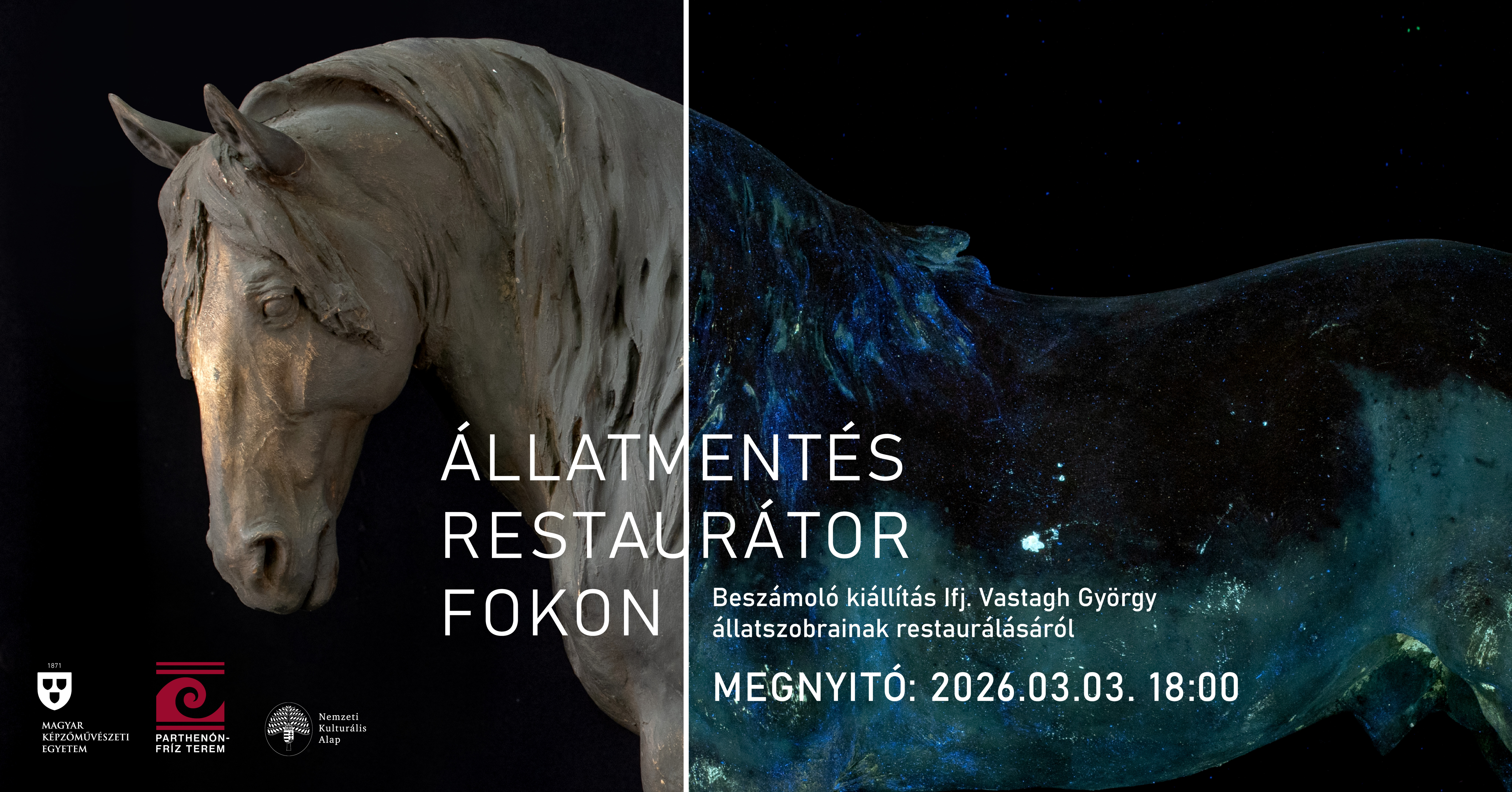 ÁLLATMENTÉS RESTAURÁTOR FOKON