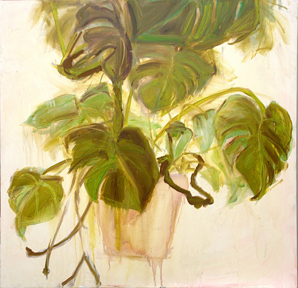 Monstera II.