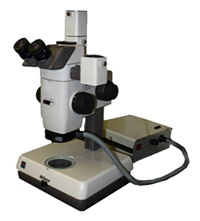 Sztereo mikroszkóp