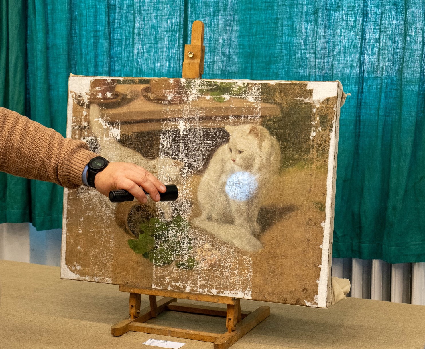 Ötödéves és Erasmus vendéghallgatói beszámolók